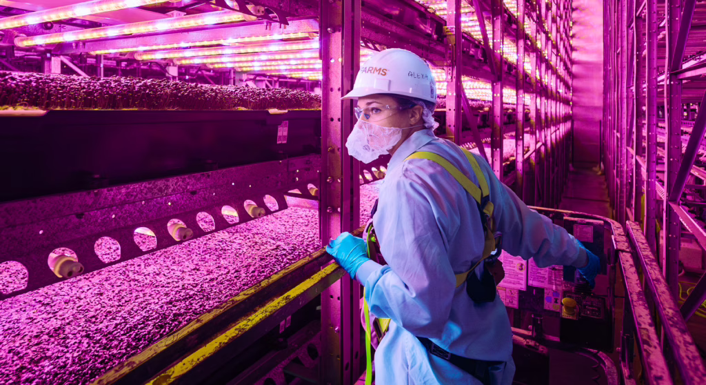 Worker in an AeroFarms facility