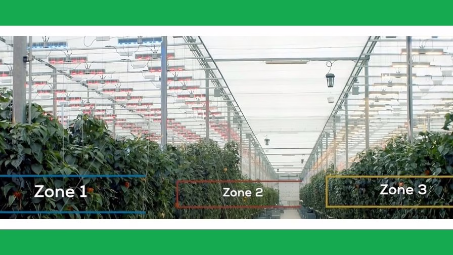 Multi-zone greenhouse lighting using advanced dynamic LED solutions.