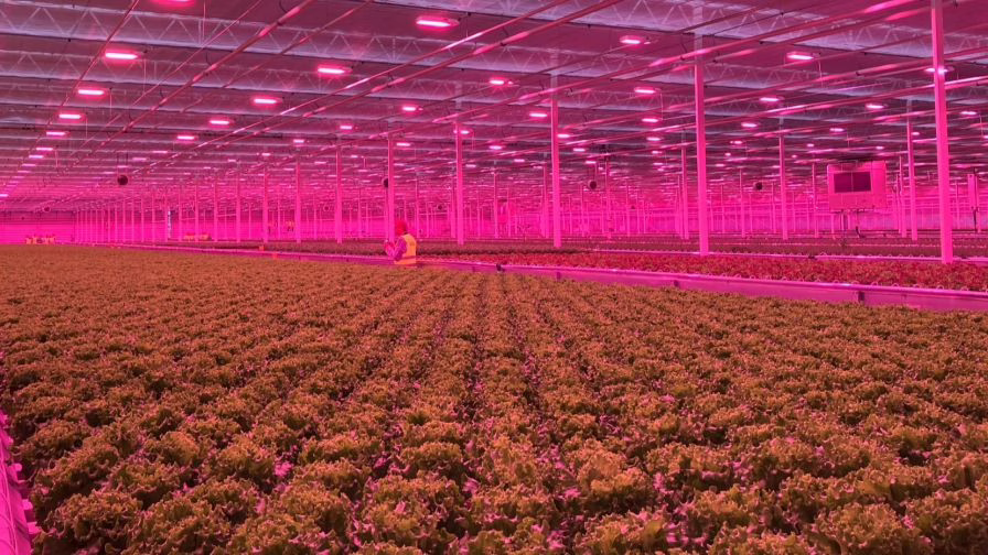 DGS system in a facility in Poland