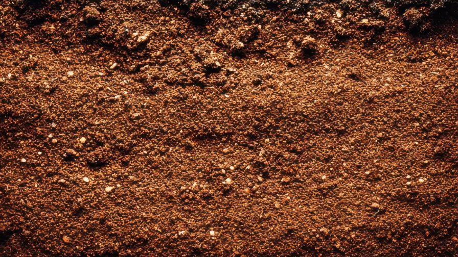 Up-close picture of soil