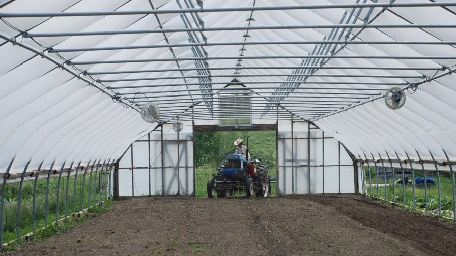 Grower pulling into a high tunnel in his tractor