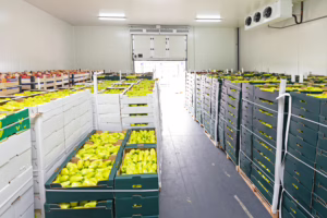Peppers and Apples in Crates Storage Warehouse