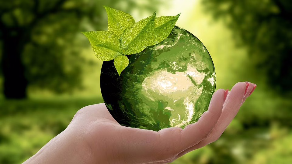Sustainability world held in hand