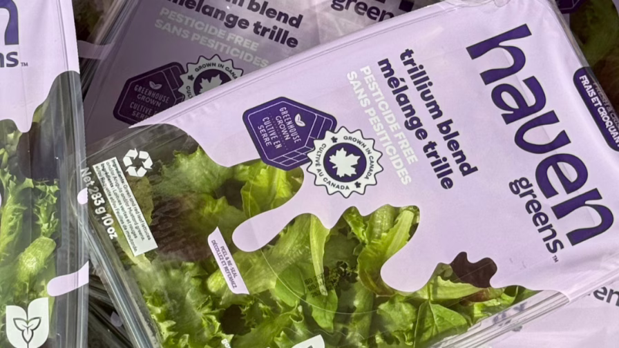 Haven Greens' Trillium Blend