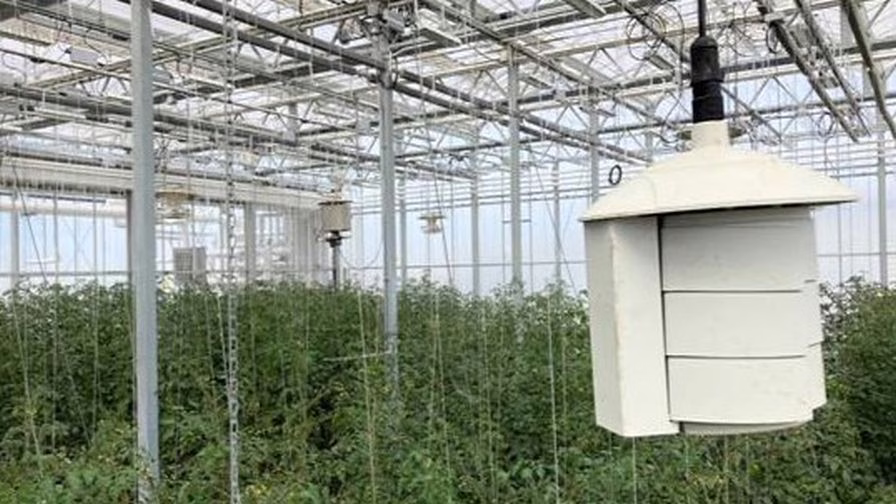 OHCEAC greenhouse