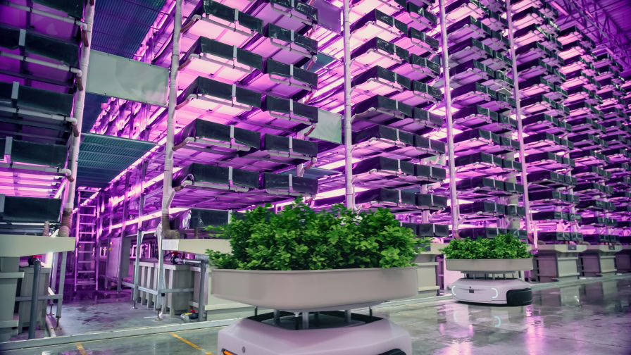 Indoor vertical farm