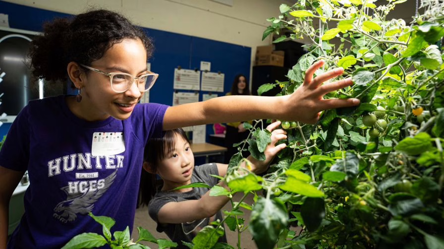 Students monitoring plants in the classroom