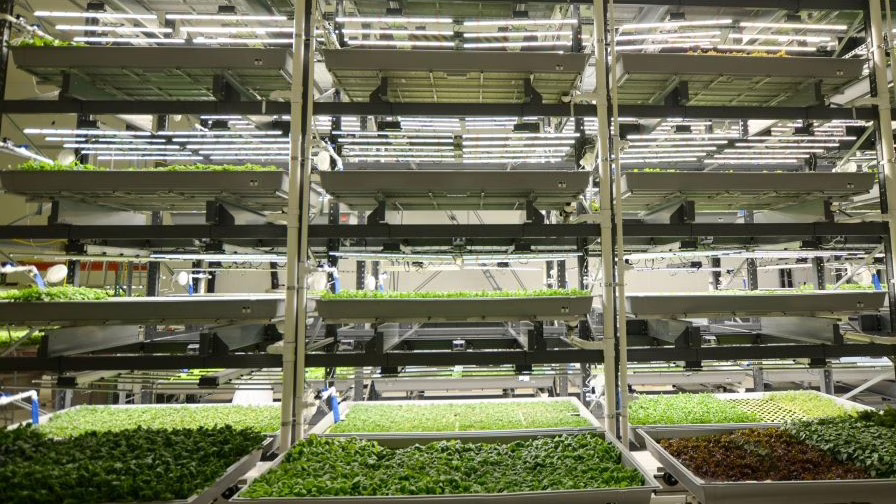 Inside of a vertical farming facility.