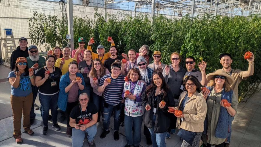 Students holding up hydroponic grown tomatoes in the UA-CEAC Teaching Greenhouse.