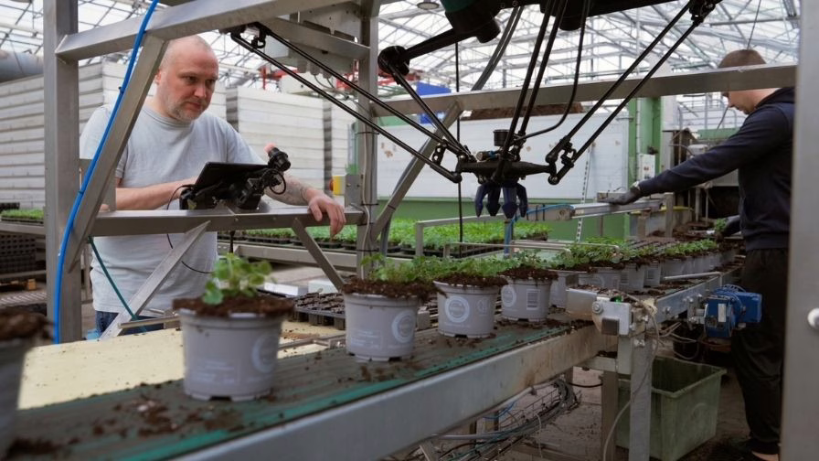 4XROBOTS greenhouse automation.