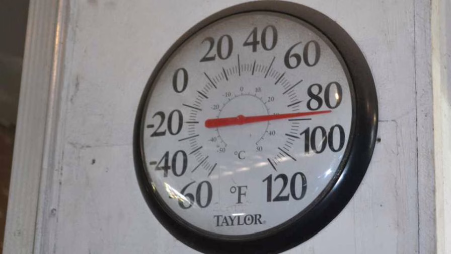 A thermometer at a Florida potato field day, indicating high heat and temperature.