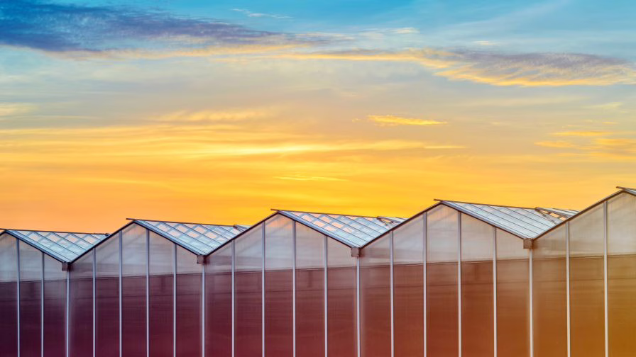 Large industrial greenhouse at sunset, with energy curtains.