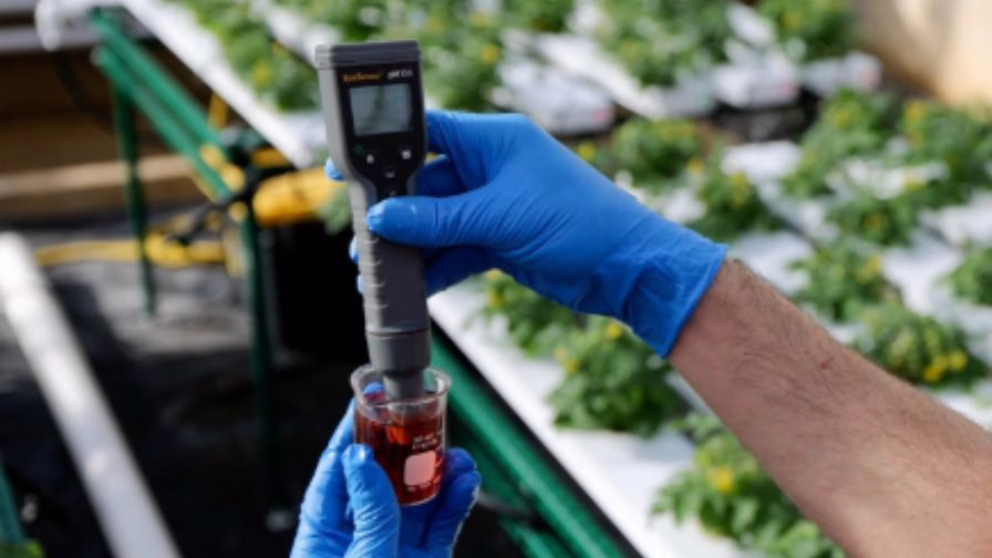 Measuring nutrient solution pH is useful on its own but becomes more powerful when tracked as a trend alongside EC, drainage, and environmental demand.