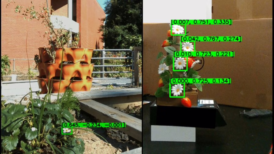 Computer vision of the robot pollinator prototype.