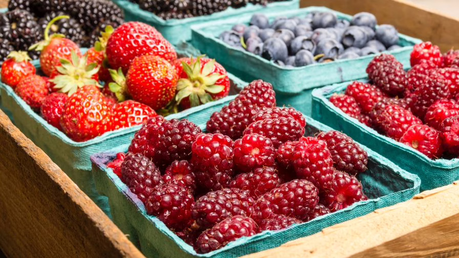 Stock photo of raspberries, strawberries, blackberries, and blueberries in container baskets.