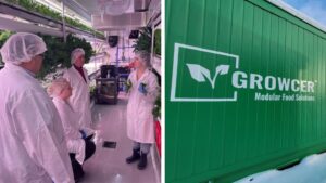 Growcer Launches the Fresh Solutions to Community Hunger Campaign