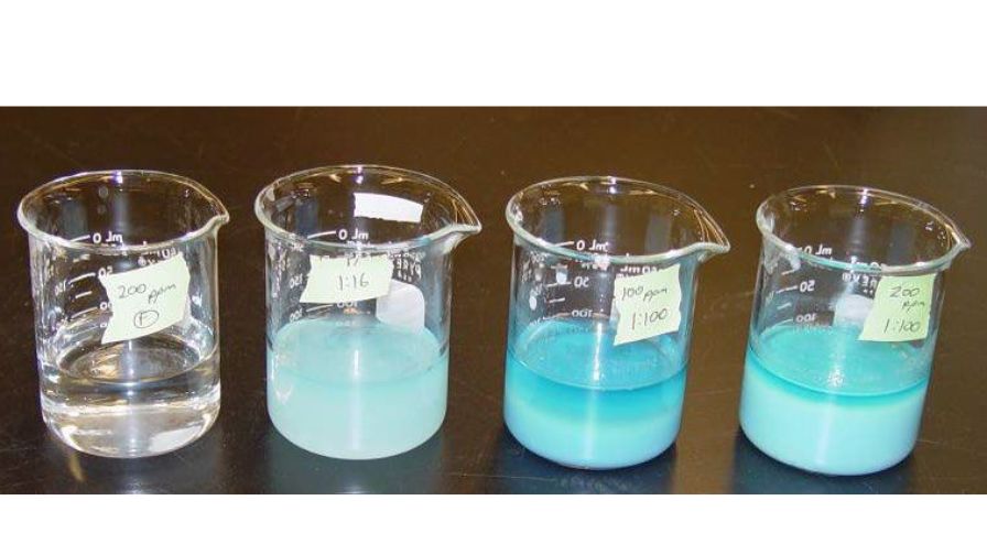 Testing compatibility of 2 different fertilizers using the jar test. The left photos represent the fertilizers mixed at the dilute concentration received by plants (200 ppm N), the subsequent photos L to R represent the two fertilizers mixed at 16x, 100x, and 200x concentration showing they are incompatible in the same stock tank.