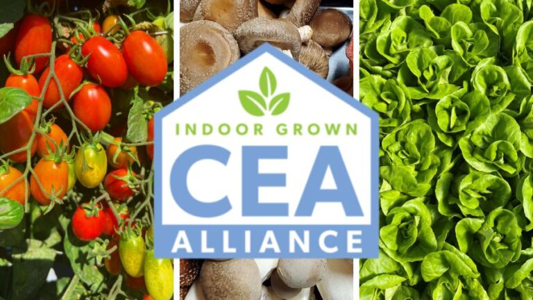CEA Alliance Welcomes New Members for 2026