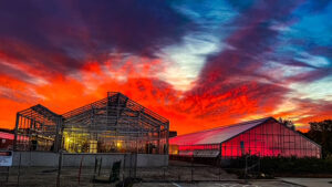 Your Full Service Greenhouse Solution Provider