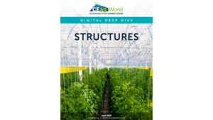 New Digital Deep Dive Focuses on Structures in CEA
