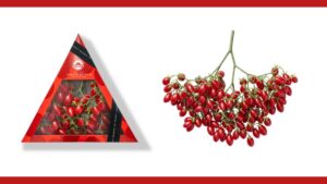 Mastronardi Introduces Unique Tomato Branch Packaging