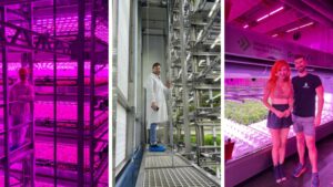 Around the World with Vertical Farming