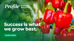 Innovative Substrates for Hydroponics