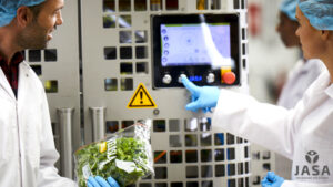 Leafy Greens Packaging Lines