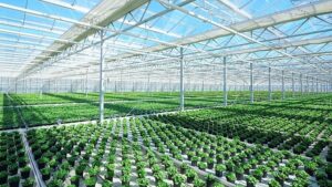 Choosing a Fertigation Approach for Commercial CEA