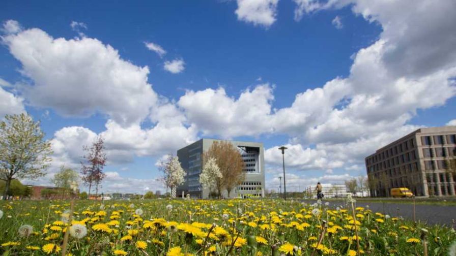Wageningen University ranked No. 1 for best agriculture colleges in the world for 2025.
