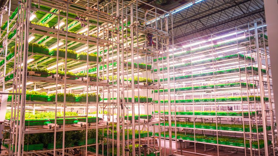 Area 2 Farms’ Silo system is designed to work with naturally occurring thermal layers and the microenvironment present in a vertical farm to match a plant’s daily temperature and water requirements.