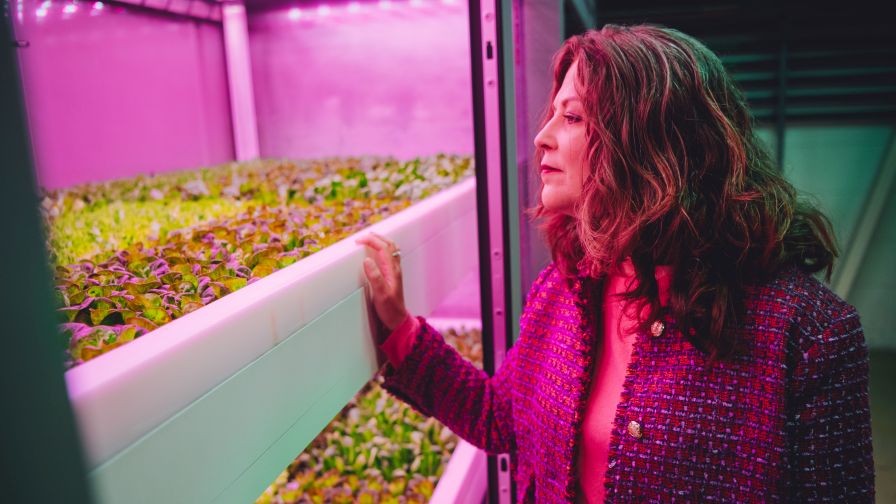 80 Acres Farms has been cautious and methodical as it scales across the United States.
