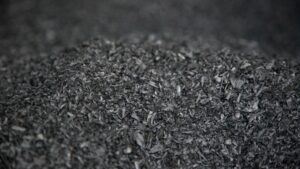 Research Brief: Pairing Biochar with Bacillus Bacteria to Grow Cherry Tomatoes