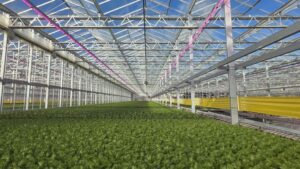 Great Lakes Growers Announces $5 Million Expansion Plans