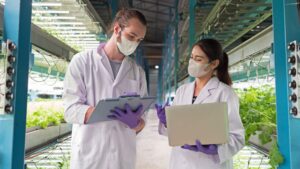 Purdue Engineer Earns USDA AFRI Grant to Advance Hydroponics Research