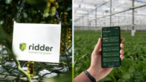 Hortimax Plus