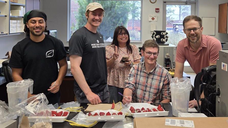 Members of the strawberry breeding team at the University of Florida. From left to right: Xavier Tacker, Dr. Mark Porter, Dr. Cheryl Dalid, Dr. Josh Sleper, and Dr. Vance Whitaker.