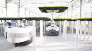 Hippo Harvest Gets $30 Million in Funding Support from Cox Farms