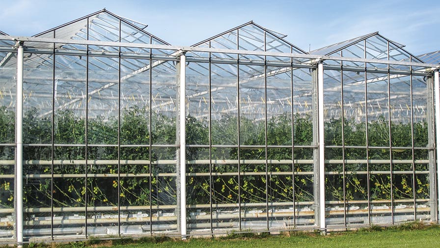 Natural Ventilation In A Venlo type greenhouse April 2016