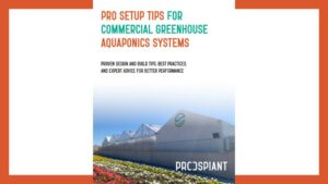 Expert Tips for Setting Up a Commercial Aquaponics Greenhouse System