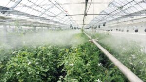 5 Notable CEA Technologies from Cultivate’26