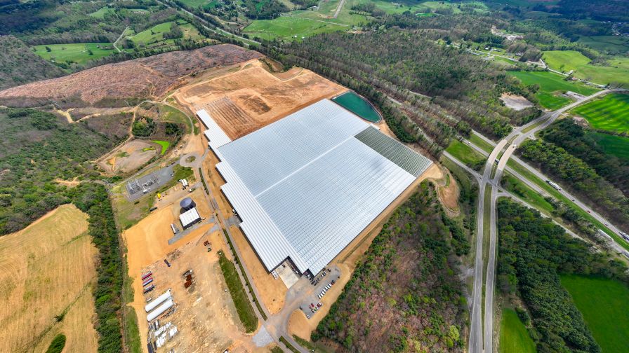 The Austinville, Va.-based Pluck’d currently provides tomatoes to select stores across the Eastern U.S., all grown in a 13.5-hectare Dutch-style greenhouse. A second, equal-sized greenhouse is expected to be producing in 2027.