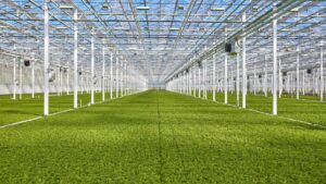 Revol Greens Warns of Potential Closure