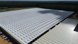 Little Leaf Farms Begins Planting at Tennessee Greenhouse