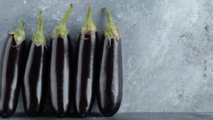 Research Brief: Extended Photoperiods in Greenhouse Eggplant