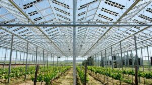 How Greenhouse Coverings Are Taking on New Roles