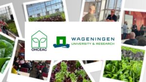Save the Date for the 2027 CEA Leafy Greens Network Event