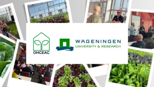 Save the Date for the 2027 CEA Leafy Greens Network Event