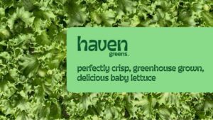 Haven Greens Receives New Investment for Greenhouse Automation