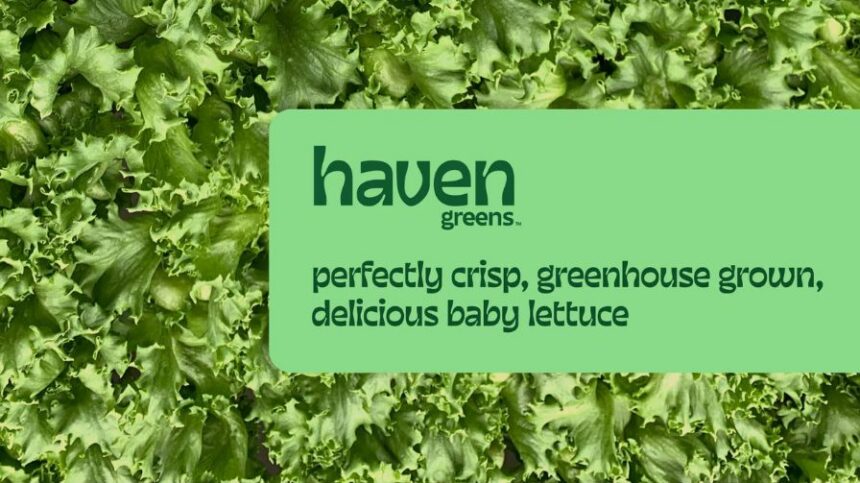 Haven Greens Receives New Investment for Greenhouse Automation